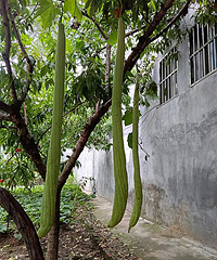 ����˿�����Ȼ��ǿ�ϳ���