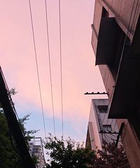 ��������������ƵĻ����ȷʵ������Ʒ���ʲ�����