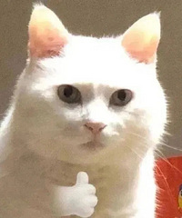 �ң�95������ʦ��11������3000��������