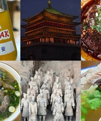 �Ի���̼ˮ֮�������������ι���