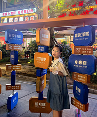 ���������ι���