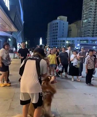 重庆一女童街头被阿拉斯加犬咬伤