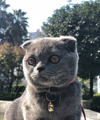 91年172CM的白羊座国企小哥征婚,希望对方父母有养老保险