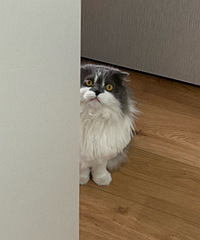 ����͵���һ��·���ץ����