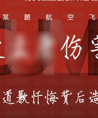 她49页PPT举报飞行员男友出轨