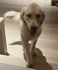 �山������˭�ҽ�ë�߶���