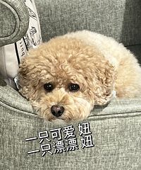 99年157CM娃3岁的妹子征婚,希望对方身高170以上