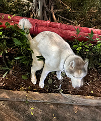 ���ҹ͵�ҵĻ�÷�ԣ�����