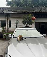 13�����523Li���˻�����535i�����������ף�����