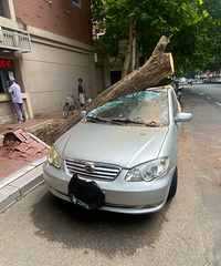 ��������չ�˾�ܲ��������˻�Ӧ��˭���⳥�أ����չ�˾����