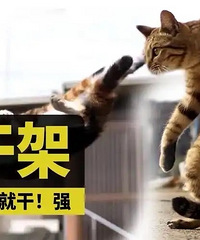 如何能学会巧妙地告状让“小人”退退退?大清早就被找麻烦
