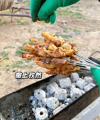 ���ڲ��ó���Ҳ��ʵ���տ����������廨�⿾������ð�ͣ�������