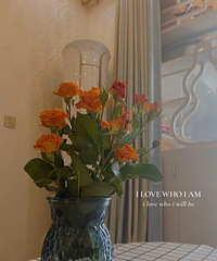 ֱ⡣԰ͥװС11ĵ¶~