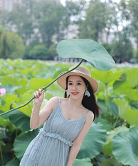 翠湖荷海,一叶掌夏