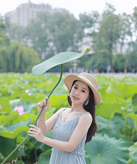 翠湖荷海,一叶掌夏