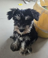 ���è���˾��������ԹԹ�