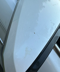 �ܲ��ܱ���С����ˣ��������������ճ����