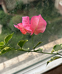 �Ӳ�����������÷����һ��