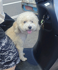 6���һ������ƿ��������