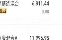 打开支付宝基金天塌了!有人和我一样吗