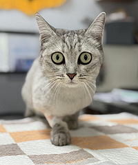 Ѱ���ˣ�ǰ���ڳ���񵽵�