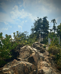 ����Ҳ��������ɽͽ������Ȼ����