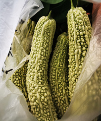 �����������ڳ�����������������