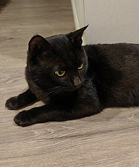 ˭�ҵĺ�Ƥ��������������