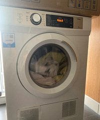 ϴ·ɹȫúɻĻ¶ཻٵ