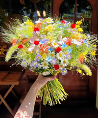 �г���ĵط��Ƽ��Ƽ���