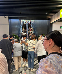 整个大渡口的人都来淘小胖了吗?据说下一个门店开在永川?