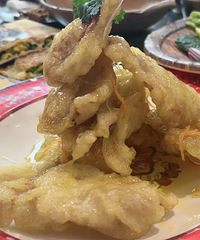 ��һ�γ��Թ����⣬ζ������������Ϊ�Լ����ܽ���