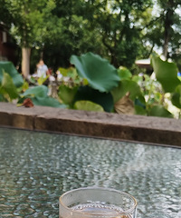 ��������ĺ��ʺϷ��ɣ���ĩ���𾭺Ȳ�