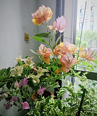 ����÷�����ˣ����ǵ���