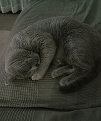 è��ë����1��2��ÿ�ΰ���