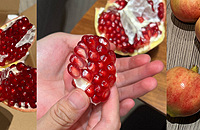 ԹóԵĻʯʯζ̫ȫҶ