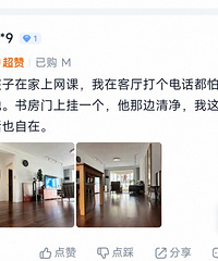 “20块轻松搞定噪音困扰”?降噪挂件是不是智商税