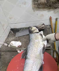 �򿨱���·�����꣬���������ϸ�ۣ���Ʒ�����ѧ