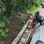 有人在公园放生蟑螂