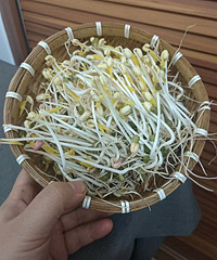 �ڼҷ���ѿ�ɹ��ջ���һ��