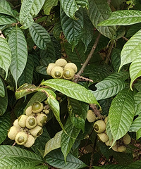 ֪����ʲô������·�������ĵ�