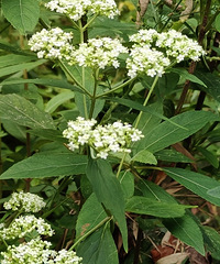 ֪����ʲô������·�������ĵ�