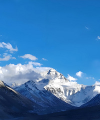 ��ʿҽ������