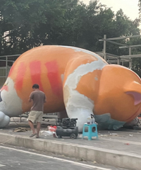 南滨路这是什么呀?有点乖