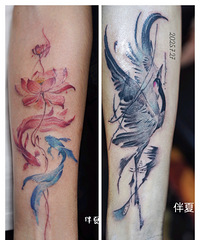 单身小哥的日常分享:年过一半,做自己喜欢的事