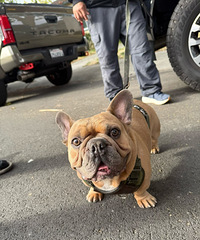 ˵⽵ˣҵСһұȥ껹100ȫн鹦͡