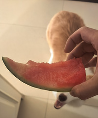 һֻ�������˰ٸ�������