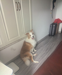 һֻ�������˰ٸ�������