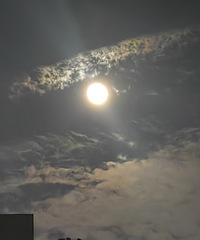 �ѽ�����öԲ����������������õ��ղؼ���