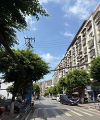 家住在空港木耳这边,旁边有个木耳场,258当场